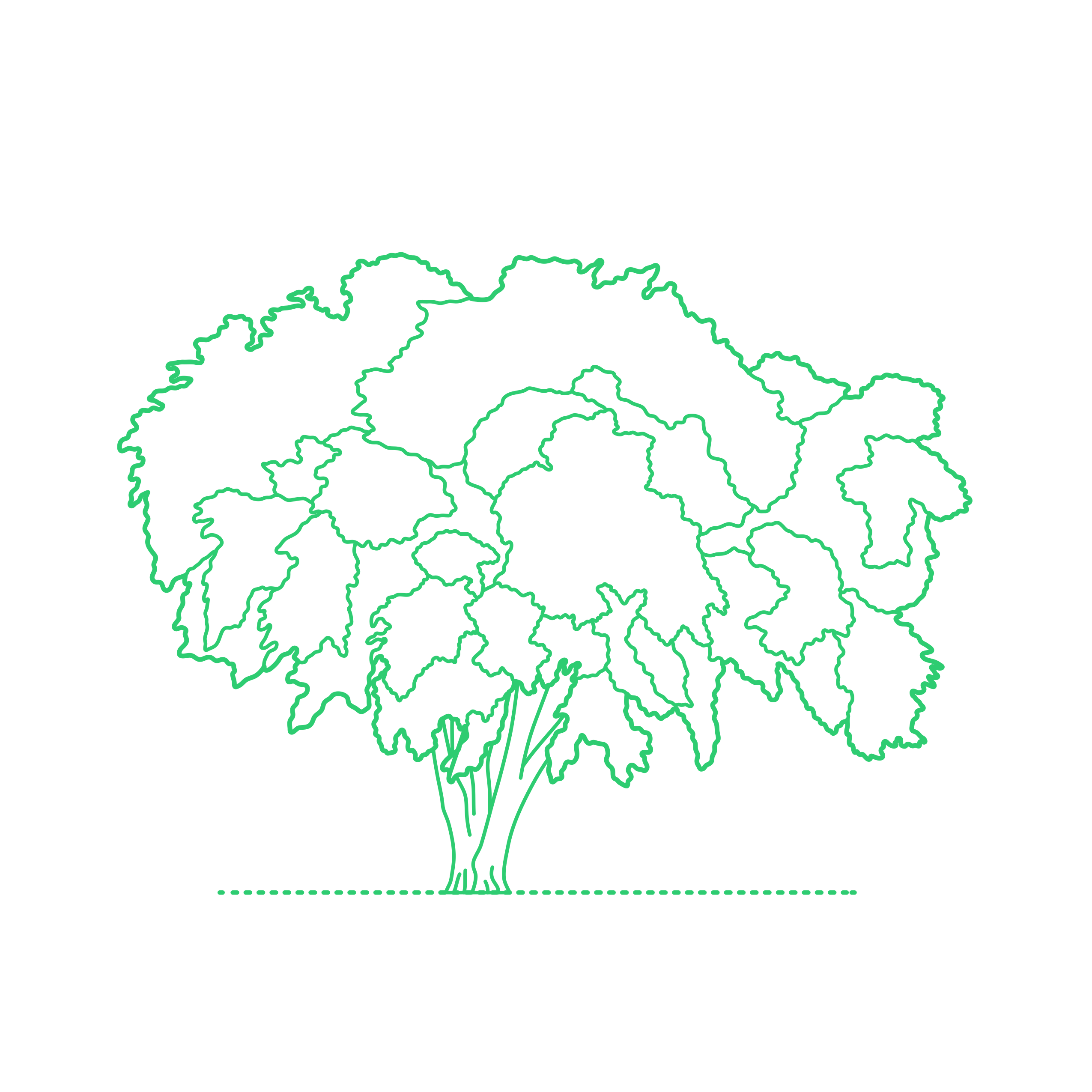 Plants Deciduous Trees American Elm Tree Vinyl Svg File Free Vectors